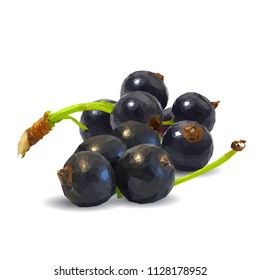 Fresh, nutritious and tasty black currant. Symbols of berries. Elements for label design. Vector illustration. Berries ingredients in triangulation technique. Black currant low poly.