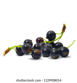 Fresh, nutritious and tasty black currant. Symbols of berries. Elements for label design. Vector illustration. Berries ingredients in triangulation technique. Black currant low poly.