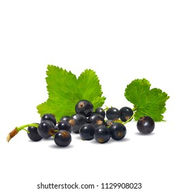 Fresh, nutritious and tasty black currant. Symbols of berries. Elements for label design. Vector illustration. Berries ingredients in triangulation technique. Black currant low poly.