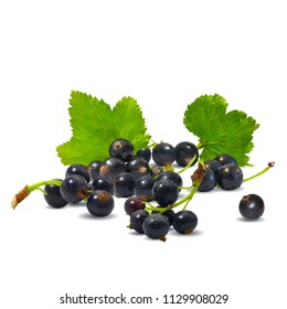 Fresh, nutritious and tasty black currant. Symbols of berries. Elements for label design. Vector illustration. Berries ingredients in triangulation technique. Black currant low poly.