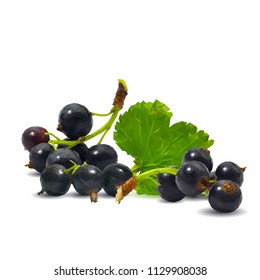 Fresh, nutritious and tasty black currant. Symbols of berries. Elements for label design. Vector illustration. Berries ingredients in triangulation technique. Black currant low poly.