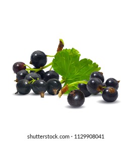 Fresh, nutritious and tasty black currant. Symbols of berries. Elements for label design. Vector illustration. Berries ingredients in triangulation technique. Black currant low poly.