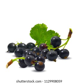 Fresh, nutritious and tasty black currant. Symbols of berries. Elements for label design. Vector illustration. Berries ingredients in triangulation technique. Black currant low poly.