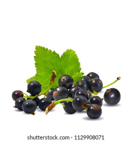 Fresh, nutritious and tasty black currant. Symbols of berries. Elements for label design. Vector illustration. Berries ingredients in triangulation technique. Black currant low poly.