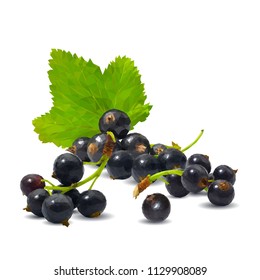 Fresh, nutritious and tasty black currant. Symbols of berries. Elements for label design. Vector illustration. Berries ingredients in triangulation technique. Black currant low poly.