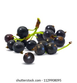 Fresh, nutritious and tasty black currant. Symbols of berries. Elements for label design. Vector illustration. Berries ingredients in triangulation technique. Black currant low poly.