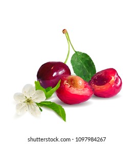 Fresh, nutritious and tasty cherries. Bloom of cherries. Symbols of berries. Elements for label design. Vector illustration. Berries ingredients in triangulation technique. Cherries low poly.