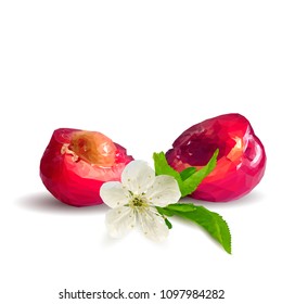 Fresh, nutritious and tasty cherries. Bloom of cherries. Symbols of berries. Elements for label design. Vector illustration. Berries ingredients in triangulation technique. Cherries low poly.