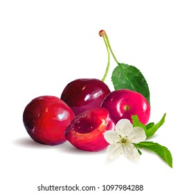 Fresh, nutritious and tasty cherries. Bloom of cherries. Symbols of berries. Elements for label design. Vector illustration. Berries ingredients in triangulation technique. Cherries low poly.
