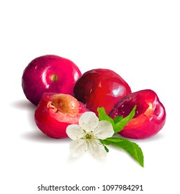 Fresh, nutritious and tasty cherries. Bloom of cherries. Symbols of berries. Elements for label design. Vector illustration. Berries ingredients in triangulation technique. Cherries low poly.
