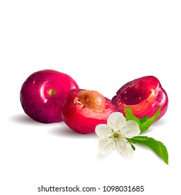 Fresh, nutritious and tasty cherries. Bloom of cherries. Symbols of berries. Elements for label design. Vector illustration. Berries ingredients in triangulation technique. Cherries low poly.
