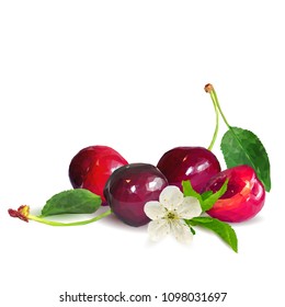 Fresh, nutritious and tasty cherries. Bloom of cherries. Symbols of berries. Elements for label design. Vector illustration. Berries ingredients in triangulation technique. Cherries low poly.