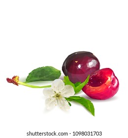Fresh, nutritious and tasty cherries. Bloom of cherries. Symbols of berries. Elements for label design. Vector illustration. Berries ingredients in triangulation technique. Cherries low poly.