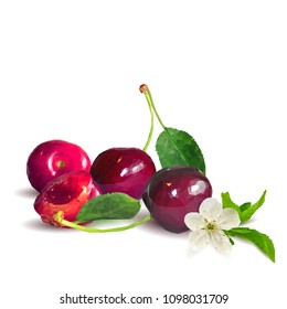 Fresh, nutritious and tasty cherries. Bloom of cherries. Symbols of berries. Elements for label design. Vector illustration. Berries ingredients in triangulation technique. Cherries low poly.