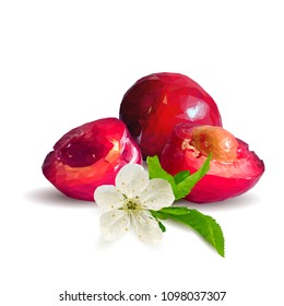 Fresh, nutritious and tasty cherries. Bloom of cherries. Symbols of berries. Elements for label design. Vector illustration. Berries ingredients in triangulation technique. Cherries low poly.