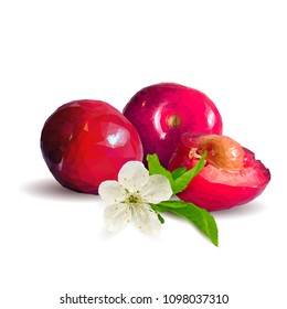 Fresh, nutritious and tasty cherries. Bloom of cherries. Symbols of berries. Elements for label design. Vector illustration. Berries ingredients in triangulation technique. Cherries low poly.