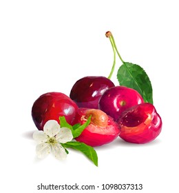 Fresh, nutritious and tasty cherries. Bloom of cherries. Symbols of berries. Elements for label design. Vector illustration. Berries ingredients in triangulation technique. Cherries low poly.