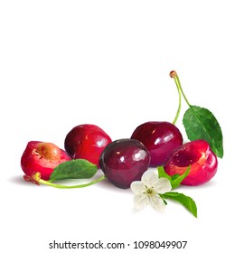 Fresh, nutritious and tasty cherries. Bloom of cherries. Symbols of berries. Elements for label design. Vector illustration. Berries ingredients in triangulation technique. Cherries low poly.