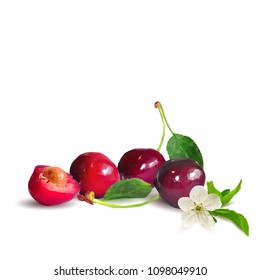 Fresh, nutritious and tasty cherries. Bloom of cherries. Symbols of berries. Elements for label design. Vector illustration. Berries ingredients in triangulation technique. Cherries low poly.