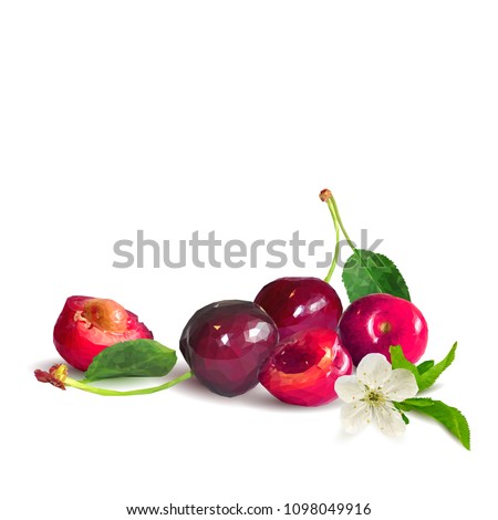 Fresh, nutritious and tasty cherries. Bloom of cherries. Symbols of berries. Elements for label design. Vector illustration. Berries ingredients in triangulation technique. Cherries low poly.