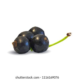 Fresh, nutritious and tasty currant. Bloom of cherries. Symbols of berries. Elements for label design. Vector illustration. Berries ingredients in triangulation technique. Currant low poly.