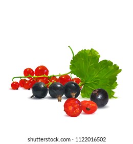 Fresh, nutritious and tasty currant. Symbols of berries. Elements for label design. Vector illustration. Berries ingredients in triangulation technique. Red and black currants low poly.