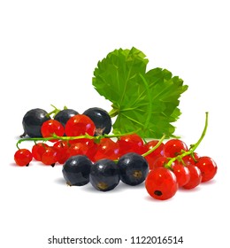 Fresh, nutritious and tasty currant. Symbols of berries. Elements for label design. Vector illustration. Berries ingredients in triangulation technique. Red and black currants low poly.