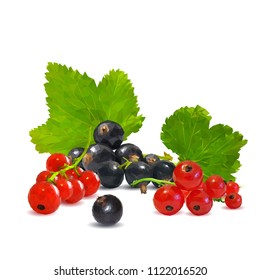 Fresh, nutritious and tasty currant. Symbols of berries. Elements for label design. Vector illustration. Berries ingredients in triangulation technique. Red and black currants low poly.