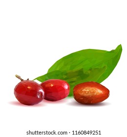 Fresh, nutritious and tasty dogwood. Symbols of berries. Elements for label design. Vector illustration. Berries ingredients in triangulation technique. Dogwood low poly.