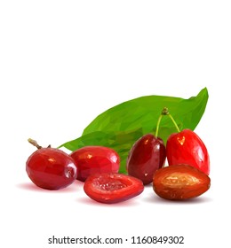 Fresh, nutritious and tasty dogwood. Symbols of berries. Elements for label design. Vector illustration. Berries ingredients in triangulation technique. Dogwood low poly.