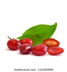 Fresh, nutritious and tasty dogwood. Symbols of berries. Elements for label design. Vector illustration. Berries ingredients in triangulation technique. Dogwood low poly.