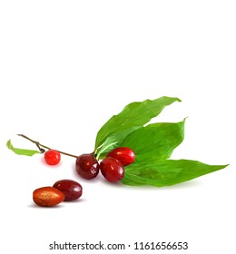 Fresh, nutritious and tasty dogwood. Symbols of berries. Elements for label design. Vector illustration. Berries ingredients in triangulation technique. Dogwood low poly.