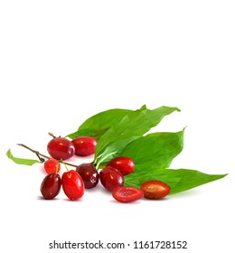 Fresh, nutritious and tasty dogwood. Symbols of berries. Elements for label design. Vector illustration. Berries ingredients in triangulation technique. Dogwood low poly.