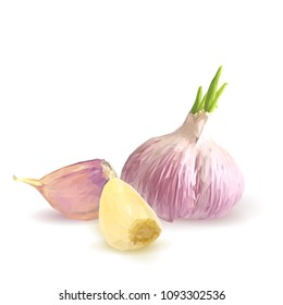 Fresh, nutritious, tasty garlic. Garlic sauce. Delicious seasoning. Vector illustration. Vegetables ingredients in triangulation technique. Garlic low poly.