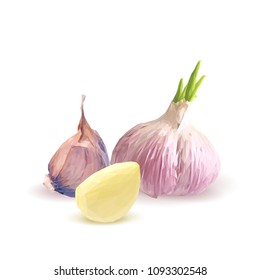 Fresh, nutritious, tasty garlic. Garlic sauce. Delicious seasoning. Vector illustration. Vegetables ingredients in triangulation technique. Garlic low poly.
