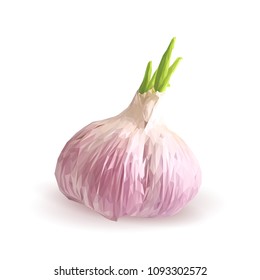 Fresh, nutritious, tasty garlic. Garlic sauce. Delicious seasoning. Vector illustration. Vegetables ingredients in triangulation technique. Garlic low poly.