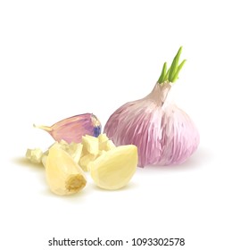Fresh, nutritious, tasty garlic. Garlic sauce. Delicious seasoning. Vector illustration. Vegetables ingredients in triangulation technique. Garlic low poly.