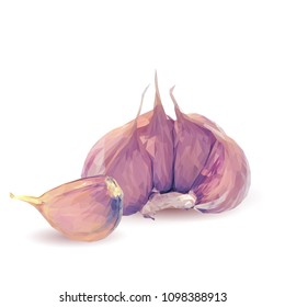 Fresh, nutritious, tasty garlic. Garlic sauce. Delicious seasoning. Vector illustration. Vegetables ingredients in triangulation technique. Garlic low poly.