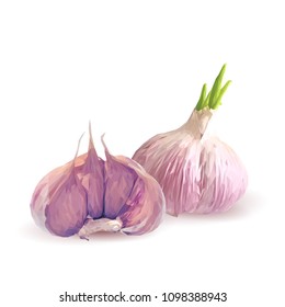 Fresh, nutritious, tasty garlic. Garlic sauce. Delicious seasoning. Vector illustration. Vegetables ingredients in triangulation technique. Garlic low poly.