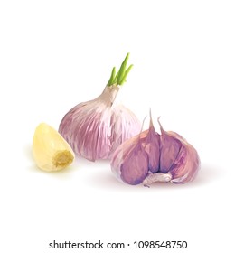 Fresh, nutritious, tasty garlic. Garlic sauce. Delicious seasoning. Vector illustration. Vegetables ingredients in triangulation technique. Garlic low poly.