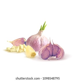 Fresh, nutritious, tasty garlic. Garlic sauce. Delicious seasoning. Vector illustration. Vegetables ingredients in triangulation technique. Garlic low poly.