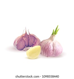 Fresh, nutritious, tasty garlic. Garlic sauce. Delicious seasoning. Vector illustration. Vegetables ingredients in triangulation technique. Garlic low poly.