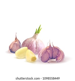 Fresh, nutritious, tasty garlic. Garlic sauce. Delicious seasoning. Vector illustration. Vegetables ingredients in triangulation technique. Garlic low poly.
