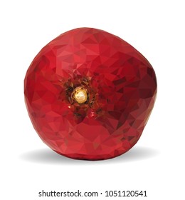 Fresh, nutritious, tasty garnet. Vector illustration. Fruits ingredients in triangulation technique. Garnet low poly.
