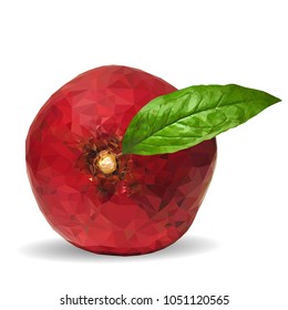 Fresh, nutritious, tasty garnet. Vector illustration. Fruits ingredients in triangulation technique. Garnet low poly.