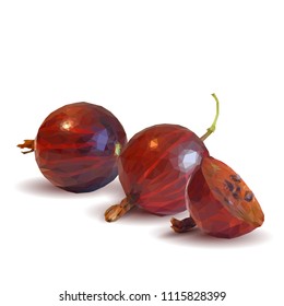 Fresh, nutritious and tasty gooseberry. Symbols of berries. Elements for label design. Vector illustration. Berries ingredients in triangulation technique. Gooseberries low poly.