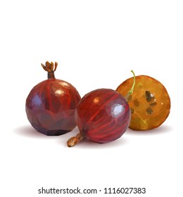 Fresh, nutritious and tasty gooseberry. Symbols of berries. Elements for label design. Vector illustration. Berries ingredients in triangulation technique. Gooseberries low poly.