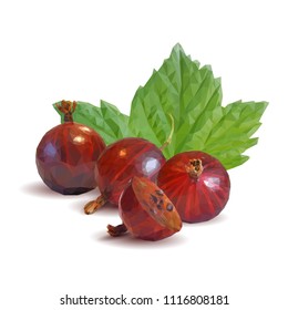Fresh, nutritious and tasty gooseberry. Symbols of berries. Elements for label design. Vector illustration. Berries ingredients in triangulation technique. Gooseberries low poly.