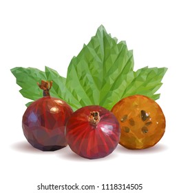 Fresh, nutritious and tasty gooseberry. Symbols of berries. Elements for label design. Vector illustration. Berries ingredients in triangulation technique. Gooseberries low poly.