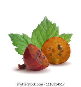 Fresh, nutritious and tasty gooseberry. Symbols of berries. Elements for label design. Vector illustration. Berries ingredients in triangulation technique. Gooseberries low poly.